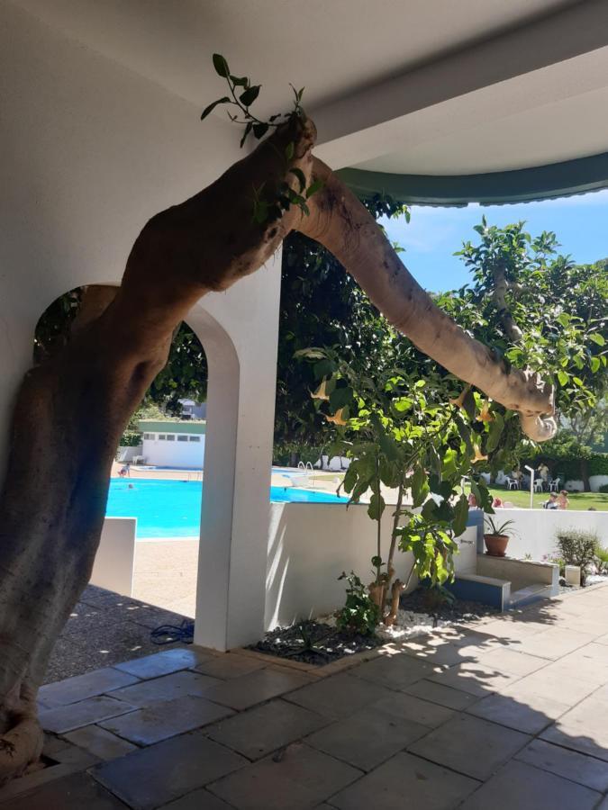 Apartamento Da Avo Te - Em Frente A Praia C Piscina Portimão Exteriör bild