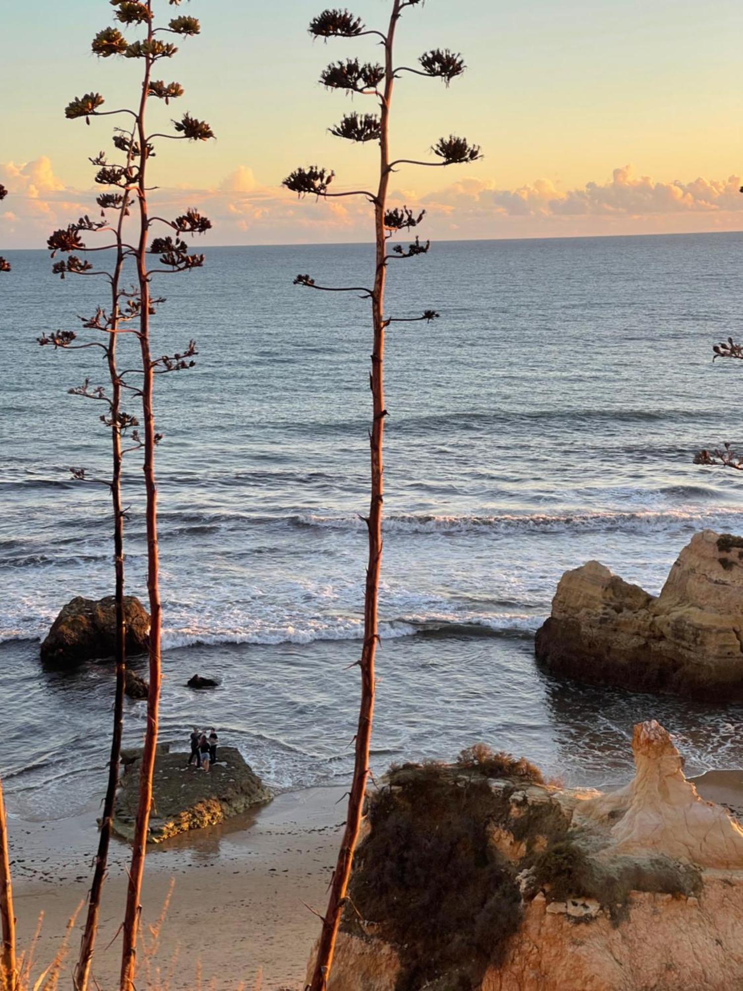 Apartamento Da Avo Te - Em Frente A Praia C Piscina Portimão Exteriör bild